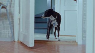 Helene Bergsholm naked – Turn Me On Dammit (2011)