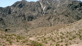 Devanny Pinn naked - Soiree Bus to Hell (2017)