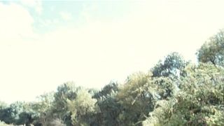 Julie-Marie Parmentier, Amandine Chauveau, Bulle Ogier, Helene Vincent - Les petits ruisseaux (2010)