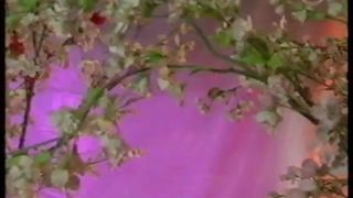 Erotic Movie - Breanne Banks and Charisma Cole - Stellar chicks (2004)