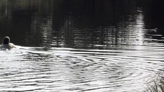 Monika Janik naked - Mleczak (2016)