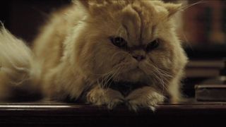 Laura Harring naked – Enjoy in the Time of Cholera (2007)