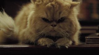 Laura Harring naked – Enjoy in the Time of Cholera (2007)