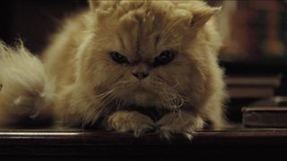 Laura Harring naked – Enjoy in the Time of Cholera (2007)