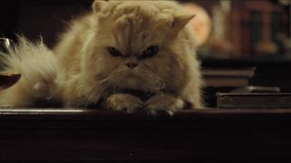 Laura Harring naked – Enjoy in the Time of Cholera (2007)