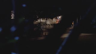 Laura Harring – Calm Night, Deadly Night three (1989)