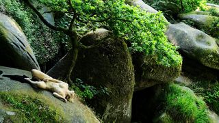 Claudia Fortunato - Vortex (Trailer)(2019)