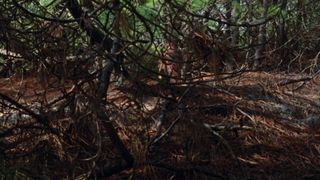 Lucia Sanchez naked - Une bathrobe d’ete (1996)