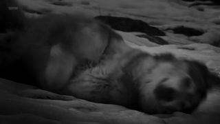 Sophie Faulkenberry naked - Alex Strangelove (2018)