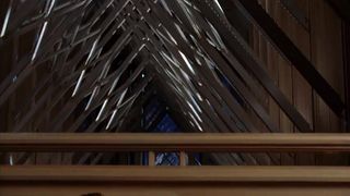 Anna Camp Lingerie Sex Intercourse Episode TV flash 'True Blood'