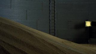 Heather Graham, Maika Monroe Stellar - At Any Price (2012)