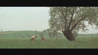 Marjorie Cottreel - La vie de Jésus