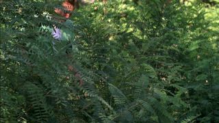 Louise Cliffe naked - Wrong Turn trio (2009)