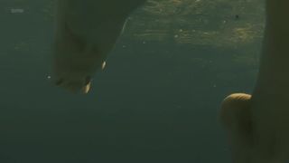 Leticia León Naked - Molinas Borealis (2013, LOVEMAKING)