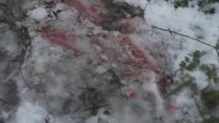 Pollyanna McIntosh naked, Lauryn Canny naked - Darlin (2019)