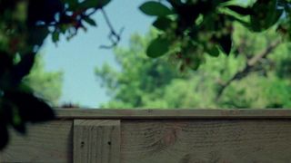 Lea Nataf - Fin de saison (2011)