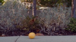 Andrea Flowers Nude - Oops Nakedness Movie