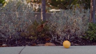 Andrea Flowers Nude - Oops Nakedness Movie