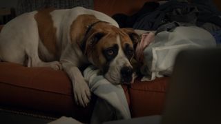 Kristen Bell nude - Veronica Mars s04e07 (2019)