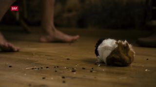 Vera Bommer naked - Seitentriebe s02e02-04 (2019)