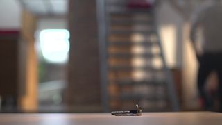 Michalina Olszanska nude - TIGER (2015)