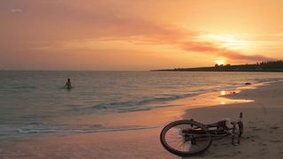 Leticia Leon nude - Molina's Borealis (2013)