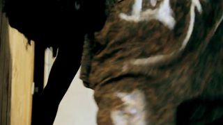 Carolina Escobar Nude - Hidden in the Forest (2012)