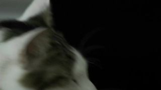 Fanny Migneault-Lecavalier - Intenselefun (2016) Molten actress