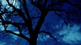 Miranda Tapsell nude - Words with Gods (2014)