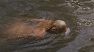 Daryl Hannah & Kathy Bates nude - At Have Fun in the Fields of the Lord (1991)