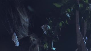 Klaudia Kilian - Leszy (2018) Naked mind-blowing video