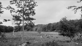 Natalie Dinesen - Nokken (2015) Red-Hot 1080.