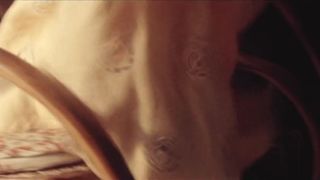 Waleska Freitas nude - Dois Irmaos (2017) (Season 1, Scenes three)
