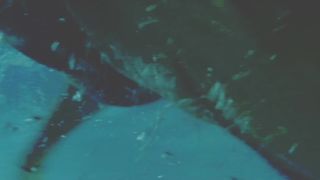 Caitlin O'Grady nude - Shen (2016)