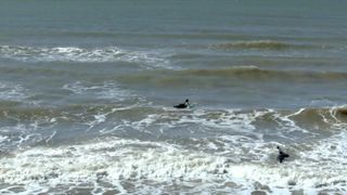 Claire Cetera not nude scene - Biters (2020)