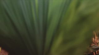 Barbara Evans - Dois Irmaos s01e03 (2017) Nude steaming scene