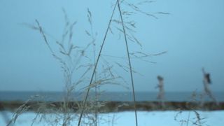 Ingvild Holthe Bygdnes, Guri Johnson naked - Monster (2017) (Season 1, Ep 5)