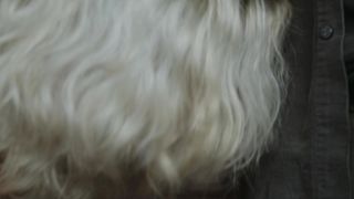 Micaela Ramazzotti, Matilda De Angelis nude - Una famiglia (2017)