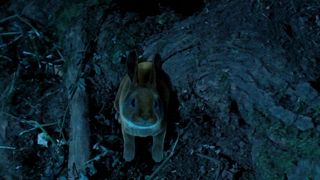 Dani Thompson nude - Nice Lil' Sodomizes (2017) Erotic Horror