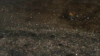 Blake Upbeat - The Pace Section (2020) Censorship nude movie