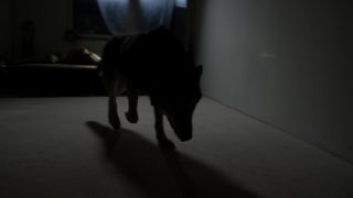 Lilith Stangenberg nude - Crazy (2016)