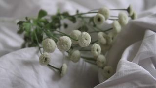 Anna Elise Martesen, Hanna Bjorndal - Naken (2016) Warm film scenes