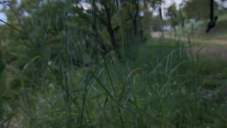 Julie Venturelli, Luna Miti - Le vent dans vos cheveux (2017) Steamy movie video