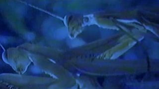 Aina Clotet naked - Mola ser malo (2005)