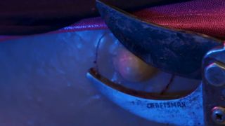 Lizzie Havoc, Sarah Michelle naked - Parts Unknown (2018)