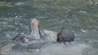 Sally Paton nude - Lower Plenty Garden Views (2016) topless actress, teen