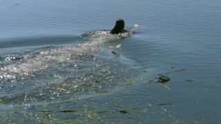 Nicole da Silva nude. Doctor Doctor s01e01-02 (2016)