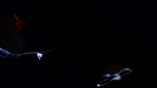 Jill Connick nude - Malady (2015) sex scene