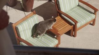 Maria Bamford - Dame Dynamite s02e01 (2017) Nude video episode