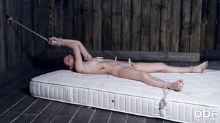 Female Dom Dominica Phoenix prizes her servant with a Face Rail